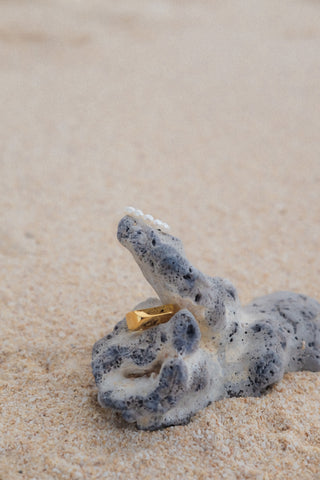 Edge Ring
